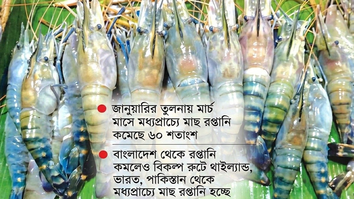 যুদ্ধের প্রভাবে হাতছাড়া হচ্ছে মধ্যপ্রাচ্যের বাজার