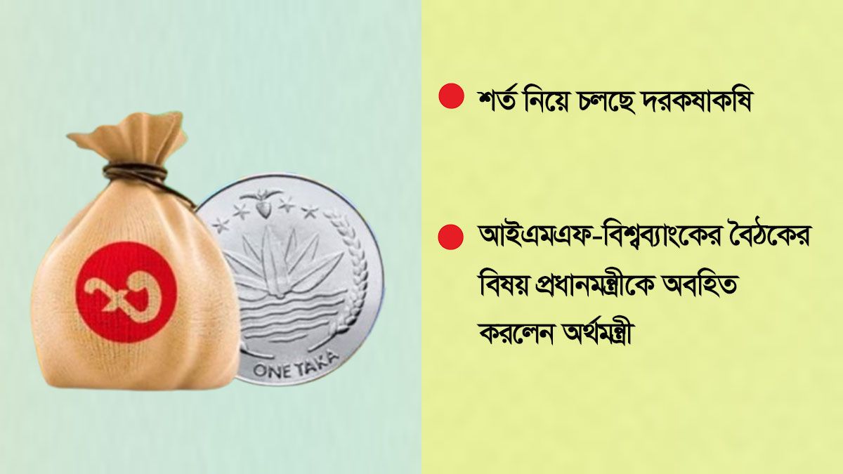 নতুন করে ৩০০ কোটি ডলার ঋণ চায় সরকার