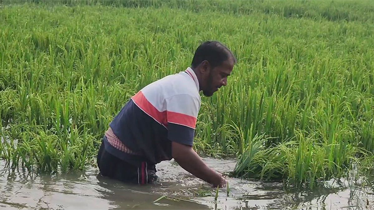 সমস্যা মোকাবিলায় সরকার সচেষ্ট হবে