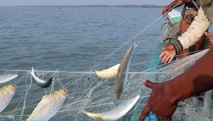 ৭ এপ্রিল জাটকা সংরক্ষণ সপ্তাহ শুরু