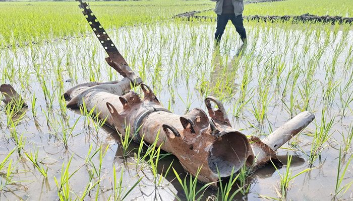 সবুজ ধানক্ষেতের মাঝে ইতিহাস