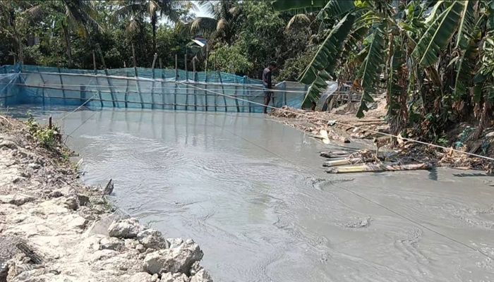 কলাপাড়ায় সরকারি খাল দখল করে মাছ চাষ, কৃষিকাজে ব্যাঘাত