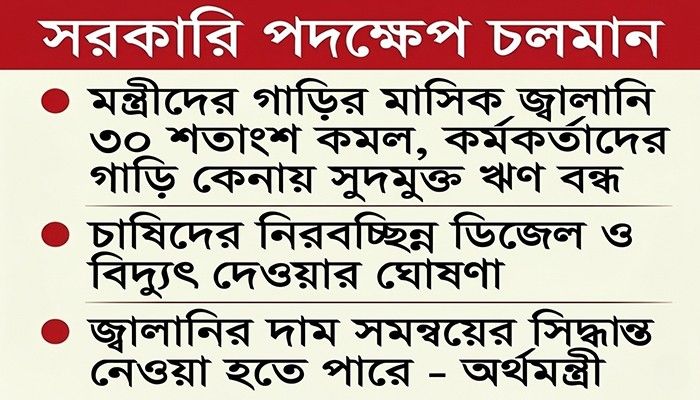 জ্বালানি আসছে, তবুও ভোগান্তি কমছে না