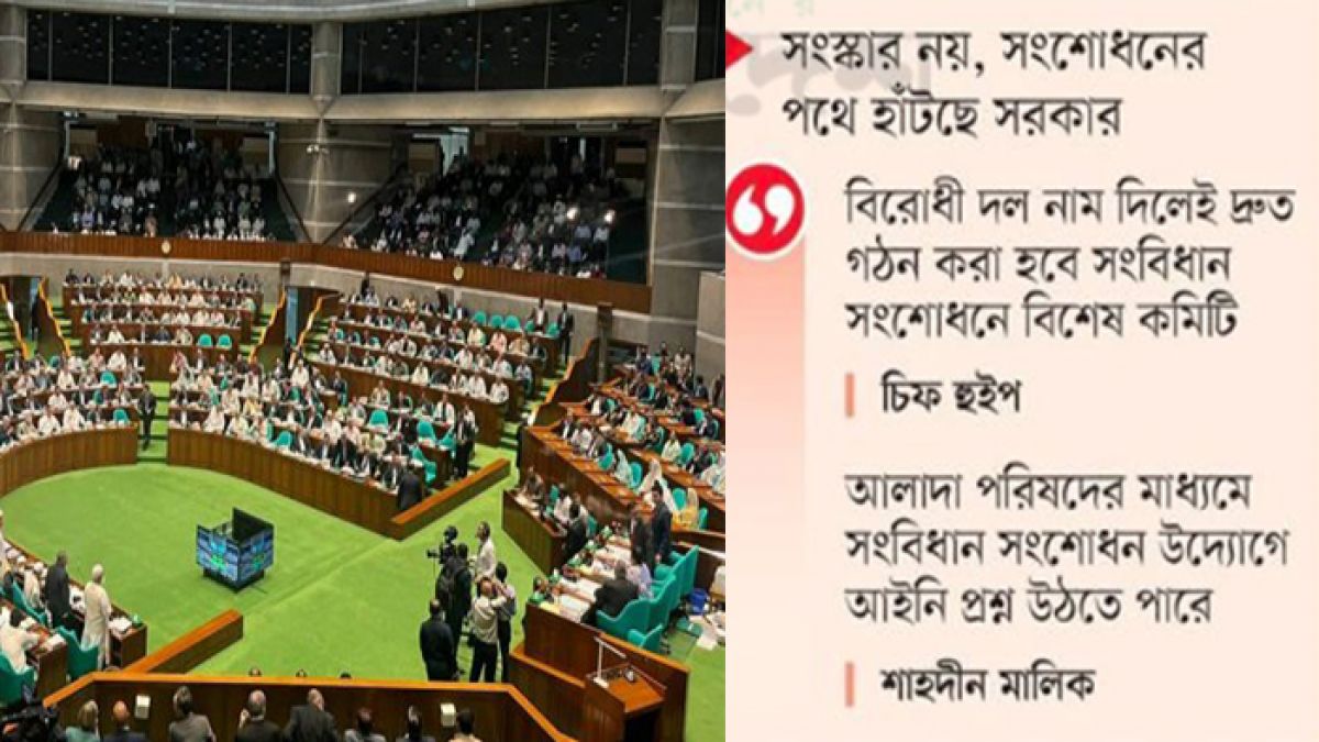 সংবিধান সংস্কার পরিষদ ‘সোনার পাথরবাটি’