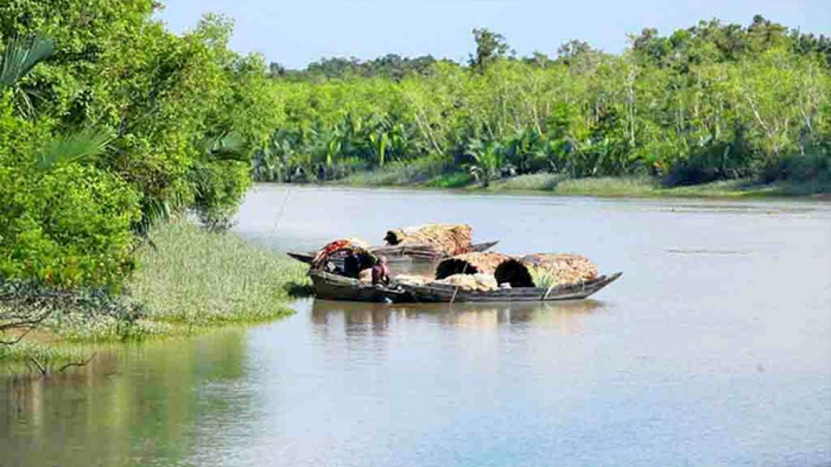 ঝড়ে সুন্দরবনে নৌকাডুবি: নিখোঁজ ৪