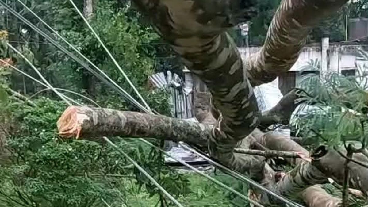 টানা চার দিন বিদ্যুৎহীন কমলগঞ্জ, চা শিল্পে স্থবিরতা