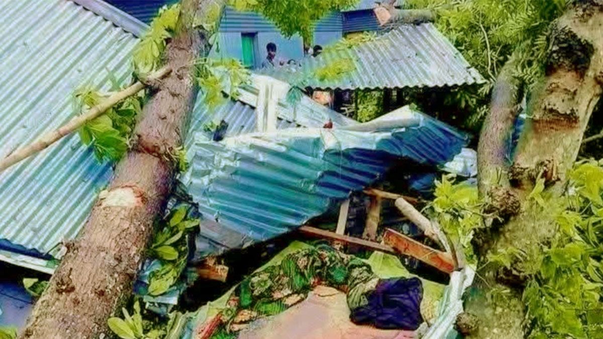 এবার কালবৈশাখীর তাণ্ডবে গাছচাপায় মা-মেয়েসহ ৩ জন নিহত