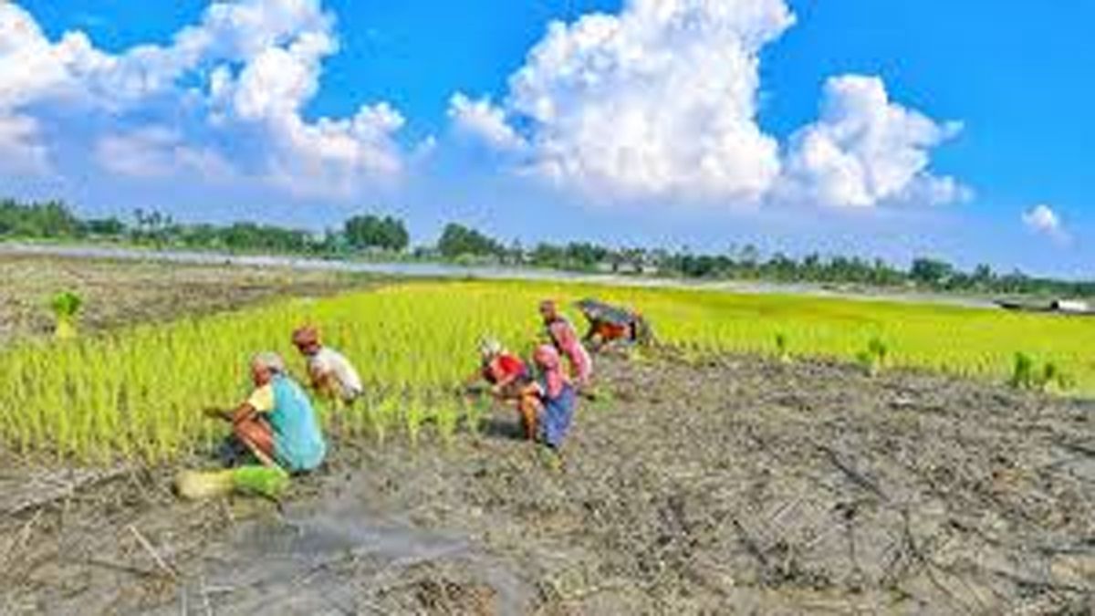 চরাঞ্চলের জনজীবন