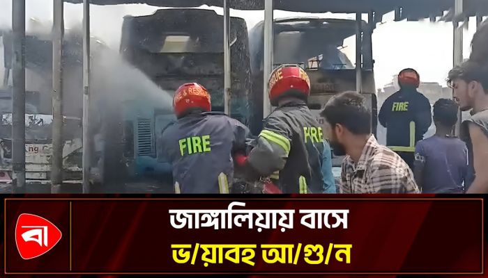 মুহূর্তেই পুড়ল রয়েল পরিবহনের তিন বাস