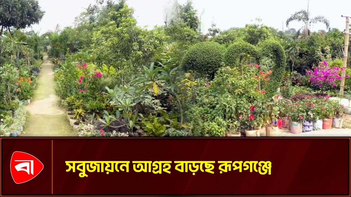 সবুজে নগরায়ণের থাবা, আশা জাগাচ্ছে ছাদবাগান