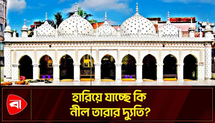 মুঘল স্থাপত্য ও জাপানি শিল্পের মেলবন্ধন: অনন্য এক তারা মসজিদ