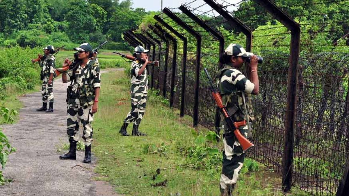 বাংলাদেশ সীমান্তে যে কারণে সাপ-কুমির ছাড়ার পরিকল্পনা ভারতের