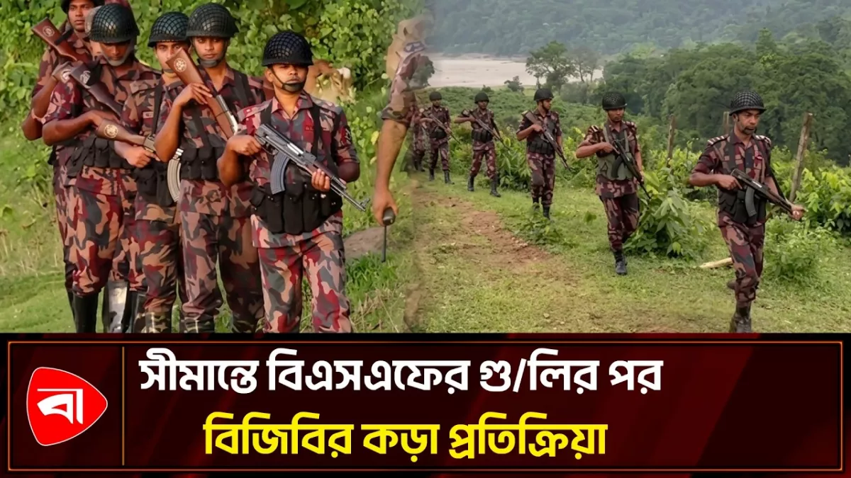 সিলেট সীমান্তে বিএসএফের গুলি, পাল্টা জবাব দিল বিজিবি 
