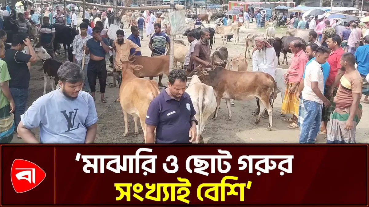 দেবহাটায় জমজমাট বৃহৎ পারুলিয়া পশুর হাট 