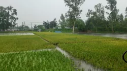 কুড়িগ্রামে ২৪ ঘণ্টায় রেকর্ড বৃষ্টিপাত