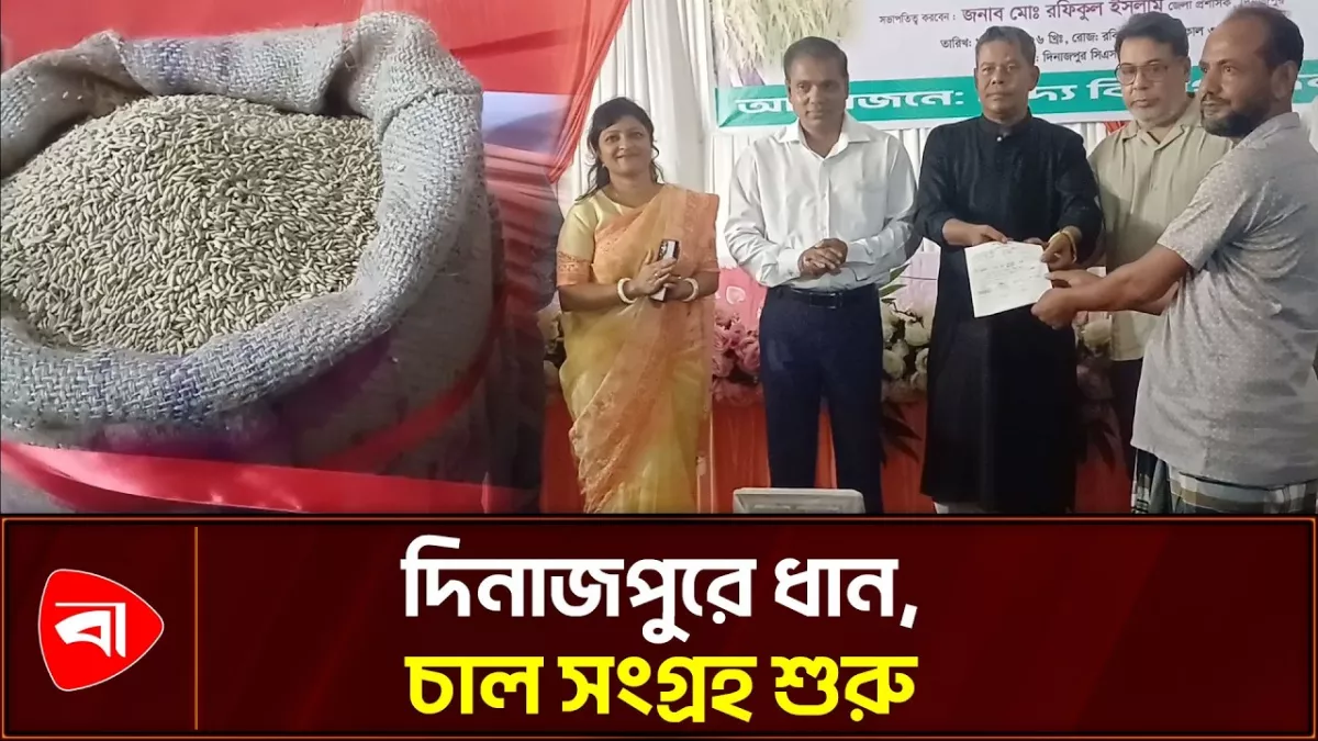 দিনাজপুরে বোরো ধান ও চাল সংগ্রহ শুরু