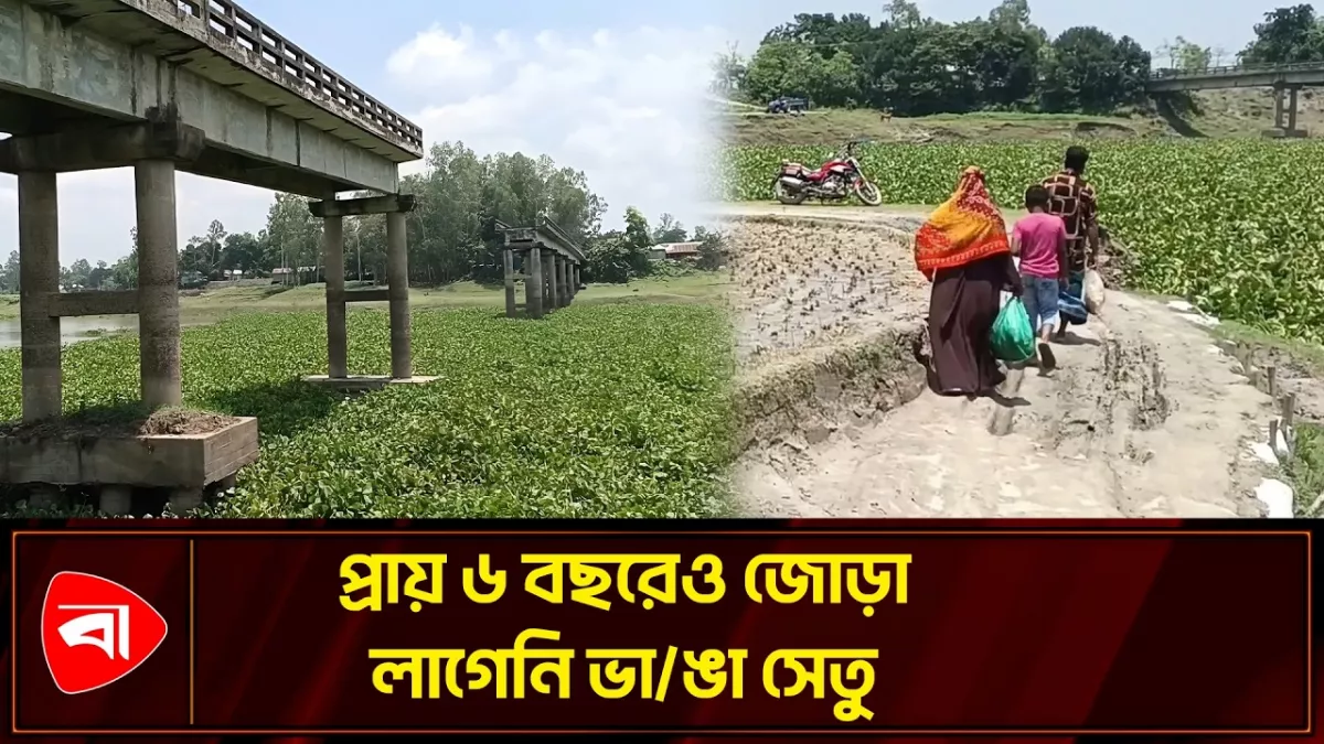 ভাঙা সেতুতে দুর্ভোগ সরিষাবাড়ীর ২০ গ্রামের মানুষের 
