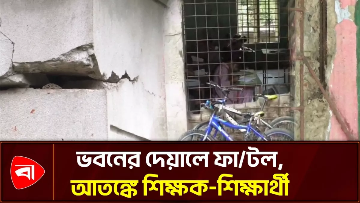 নানা সংকটে ধুঁকছে মধুখালী সরকারি প্রাথমিক বিদ্যালয়