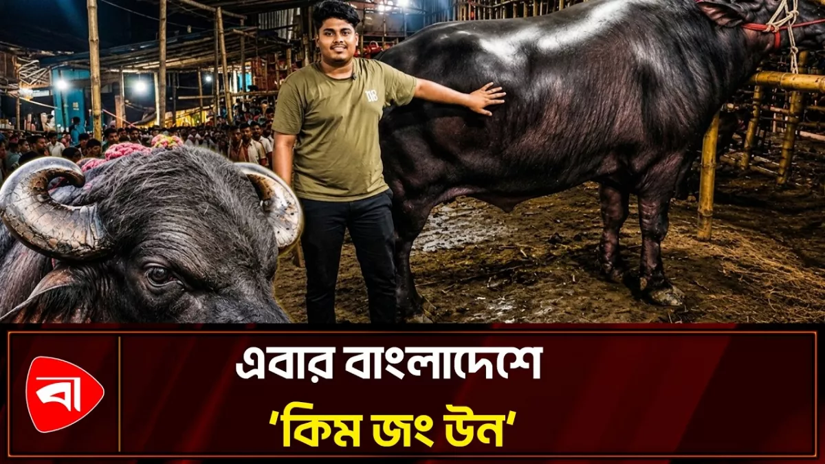 গাবতলী হাটে ‘কিম জং উন’