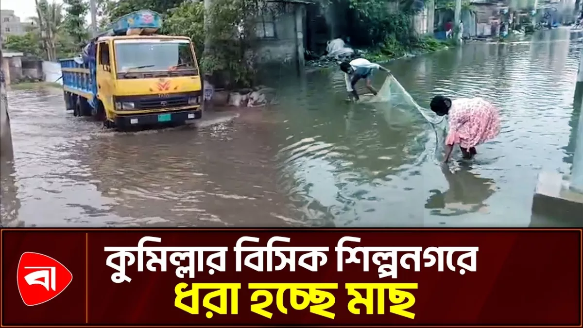 কুমিল্লা বিসিকে জলাবদ্ধতা, মাছ ধরছেন স্থানীয়রা