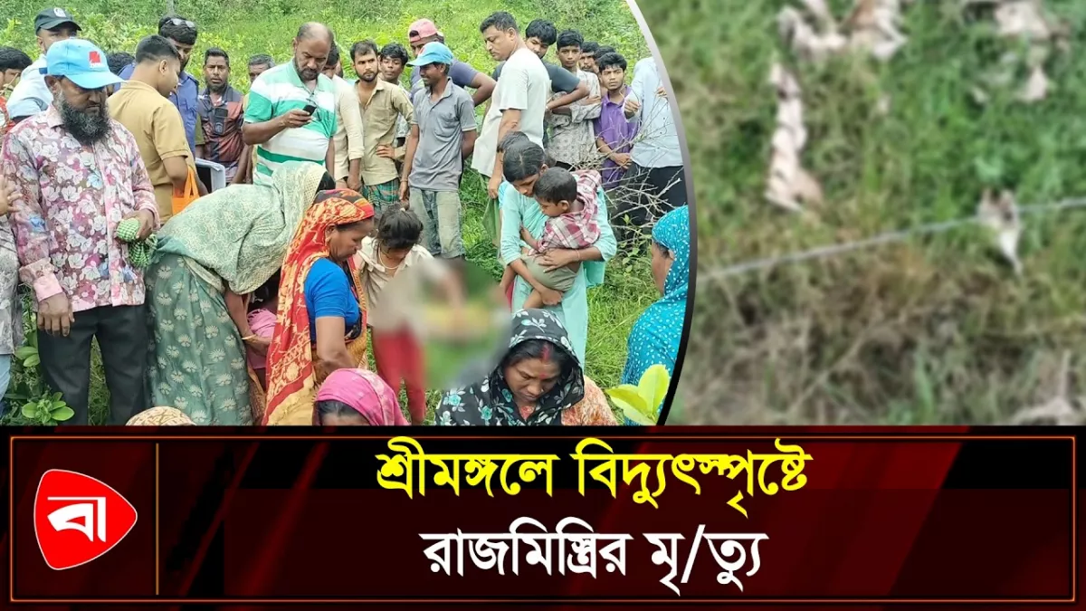 শ্রীমঙ্গলে লেবু বাগানে বিদ্যুৎস্পৃষ্টে রাজমিস্ত্রির মৃত্যু