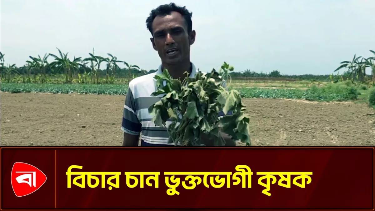 জমি নিয়ে দ্বন্দ্বের জেরে ফসল নষ্টের অভিযোগ 