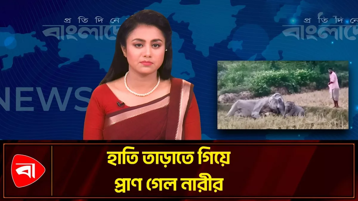 লামায় হাতি তাড়ানোর বৈদ্যুতিক ফাঁদে নারীর মৃত্যু