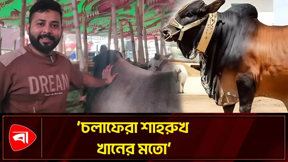 ‘যে দিক দিয়ে যায় ১০/১২ জন তাকিয়ে থাকে’