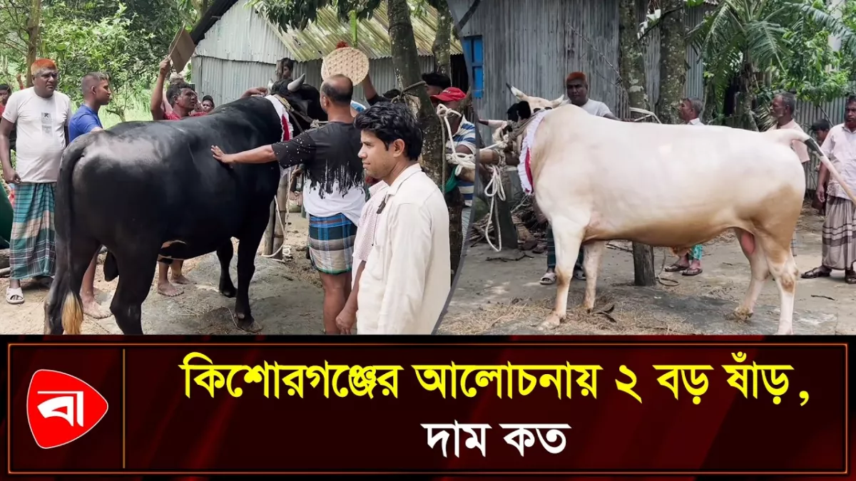 ‘মহারাজা’ না ‘রাজাবাবু’, ক্রেতার আকর্ষণের কেন্দ্রে কোনটি