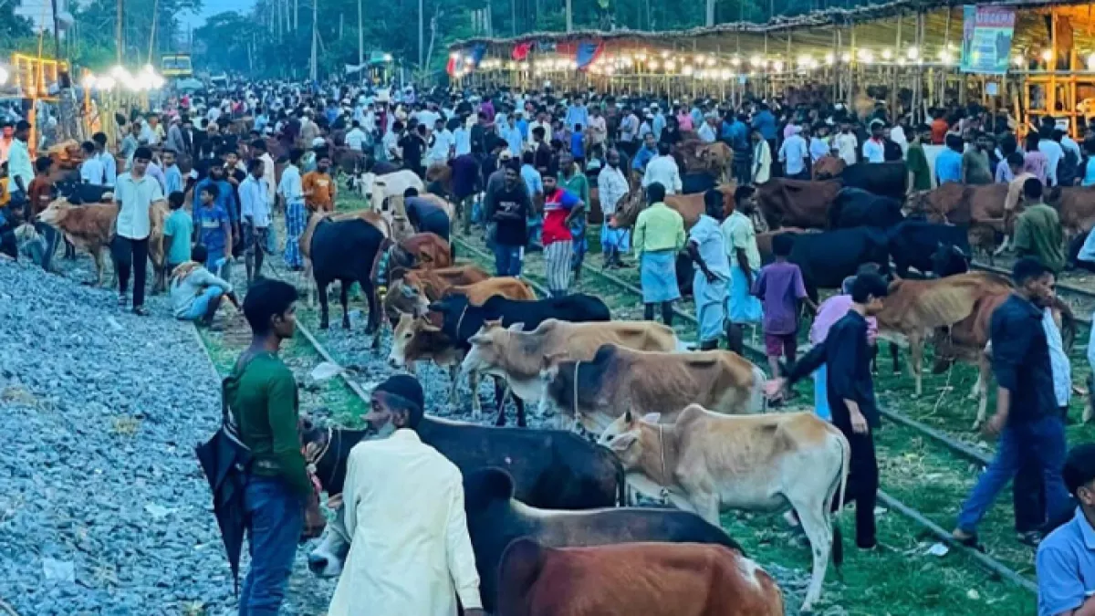 ট্রেন দেখেই পশু ক্রেতা-বিক্রেতাদের দৌড়ঝাঁপ 