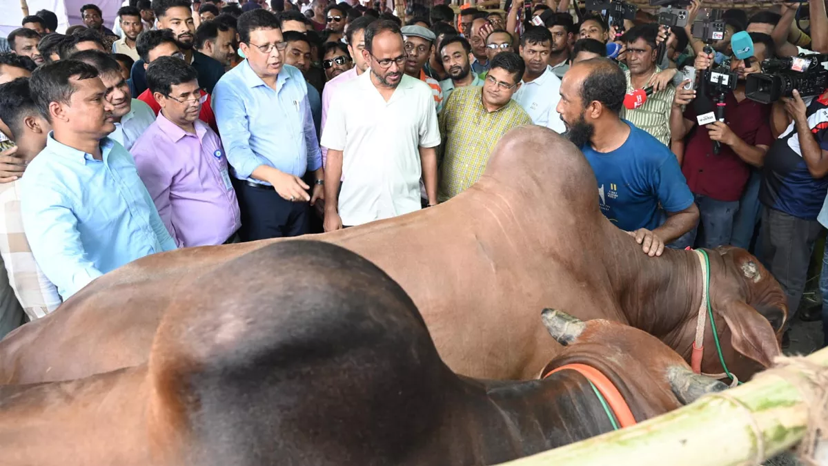চোরাইপথ নয়, বৈধ উৎসে কোরবানির পশু কেনার আহ্বান মৎস্য প্রতিমন্ত্রীর 