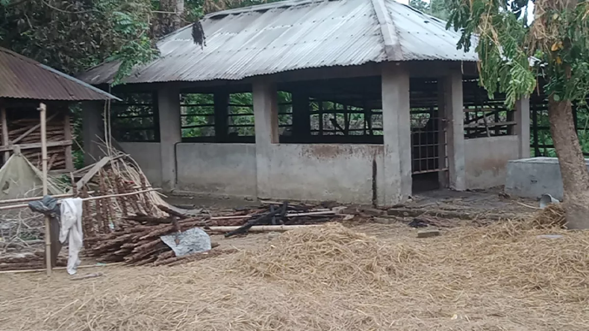 গোয়ালঘরে আগুনে পুড়ল ৪ গরু