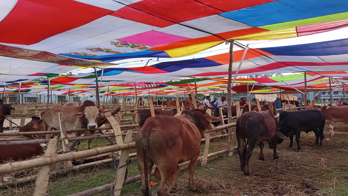 প্রতিমন্ত্রীর খাজনা ছাড়ে স্বস্তি, নেছারাবাদের চার হাটের ইজারা মওকুফ