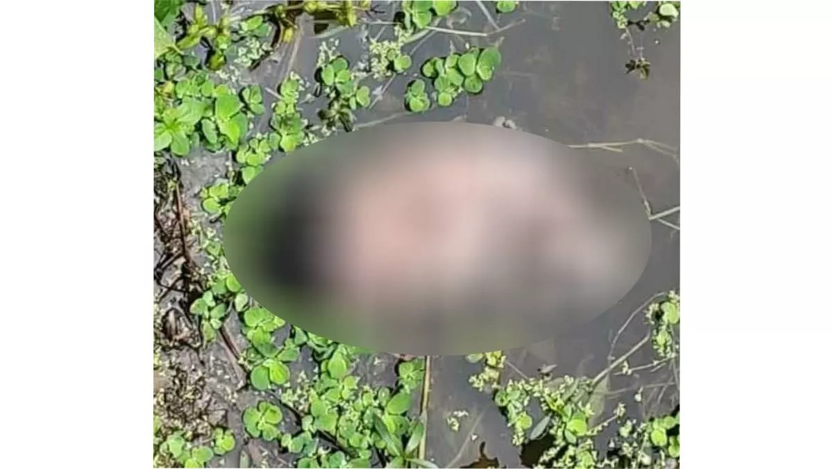 পুকুরে নবজাতকের গলা কাটা মরদেহ, মা-বাবা আটক