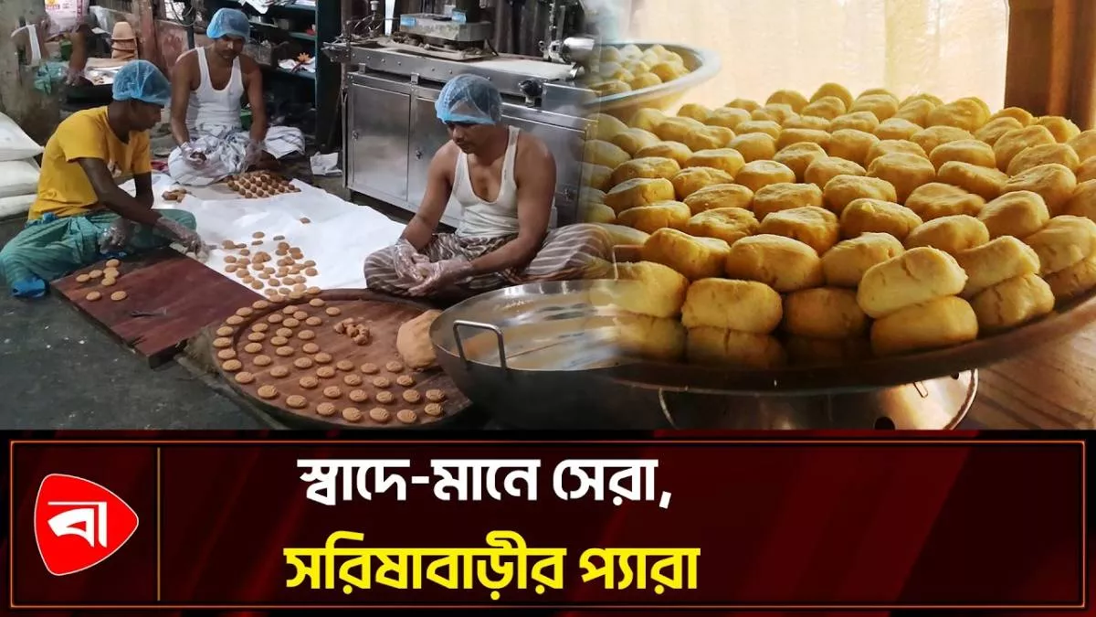 সরিষাবাড়ীর শতবর্ষী প্যারা সন্দেশ, জিআই স্বীকৃতির দাবি 