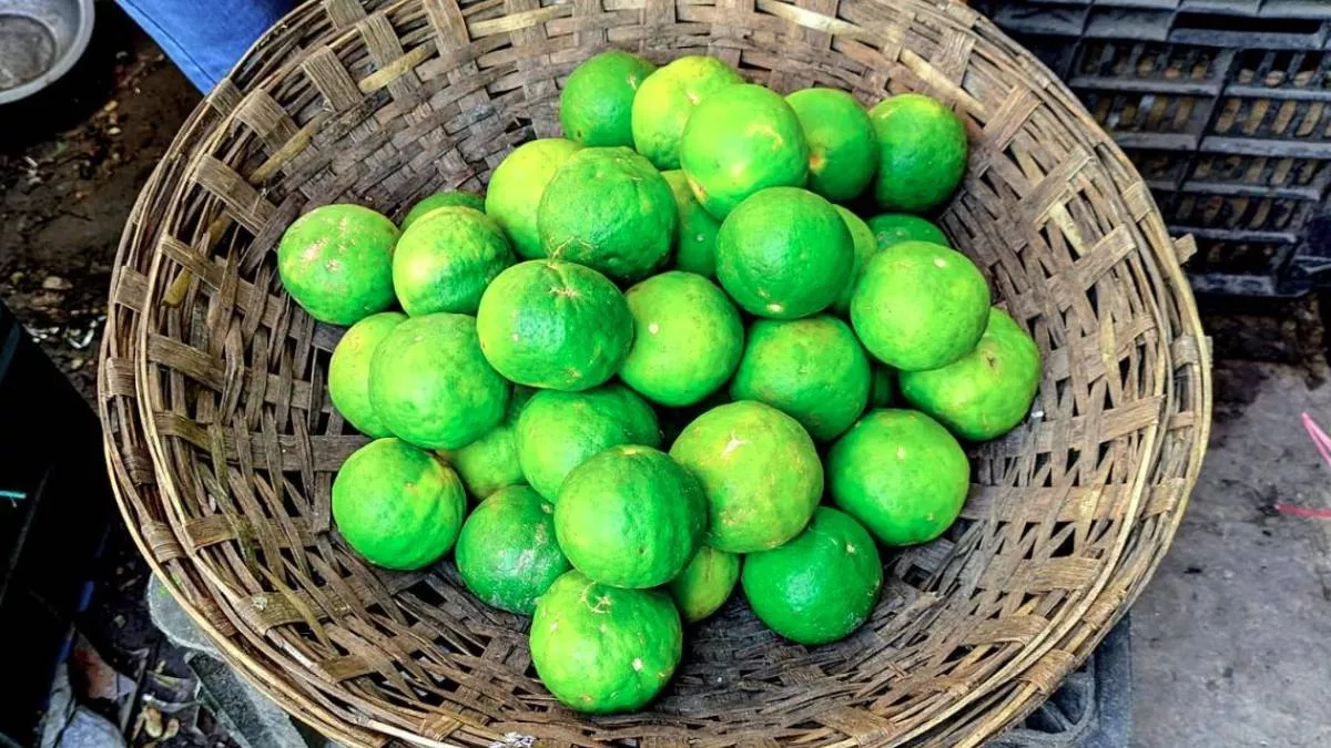 রসনা বিলাসে সিলেটের ঐতিহ্য ‘সাতকরা’
