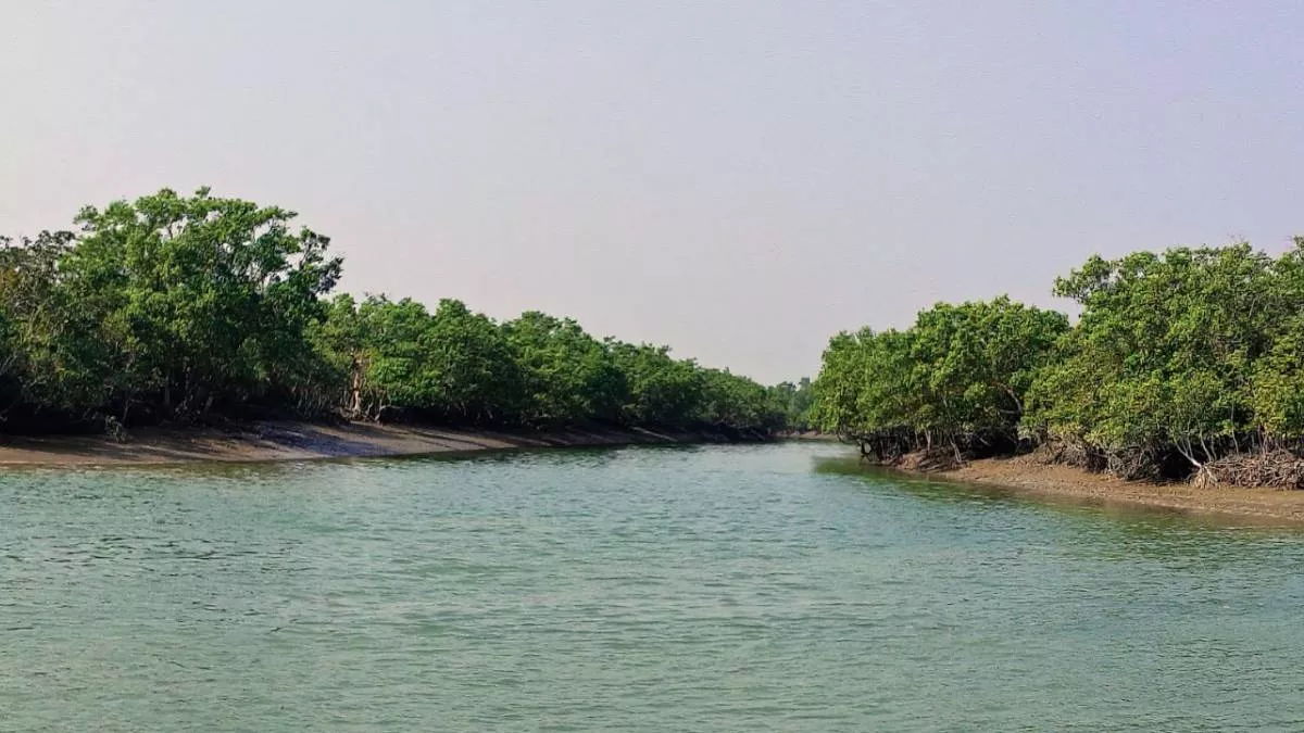 সুন্দরবনে ফের ৮ বনজীবী অপহরণ