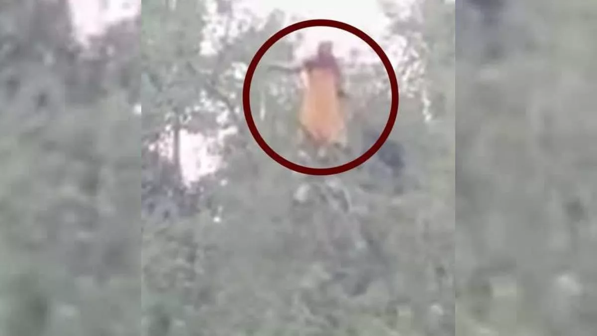 রাতভর নিখোঁজ, সকালে ‘তেঁতুল গাছের মগডাল’ থেকে উদ্ধার নারী