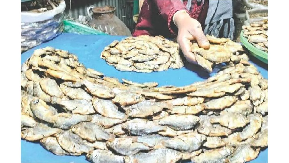চ্যাপা শুঁটকি উৎসব