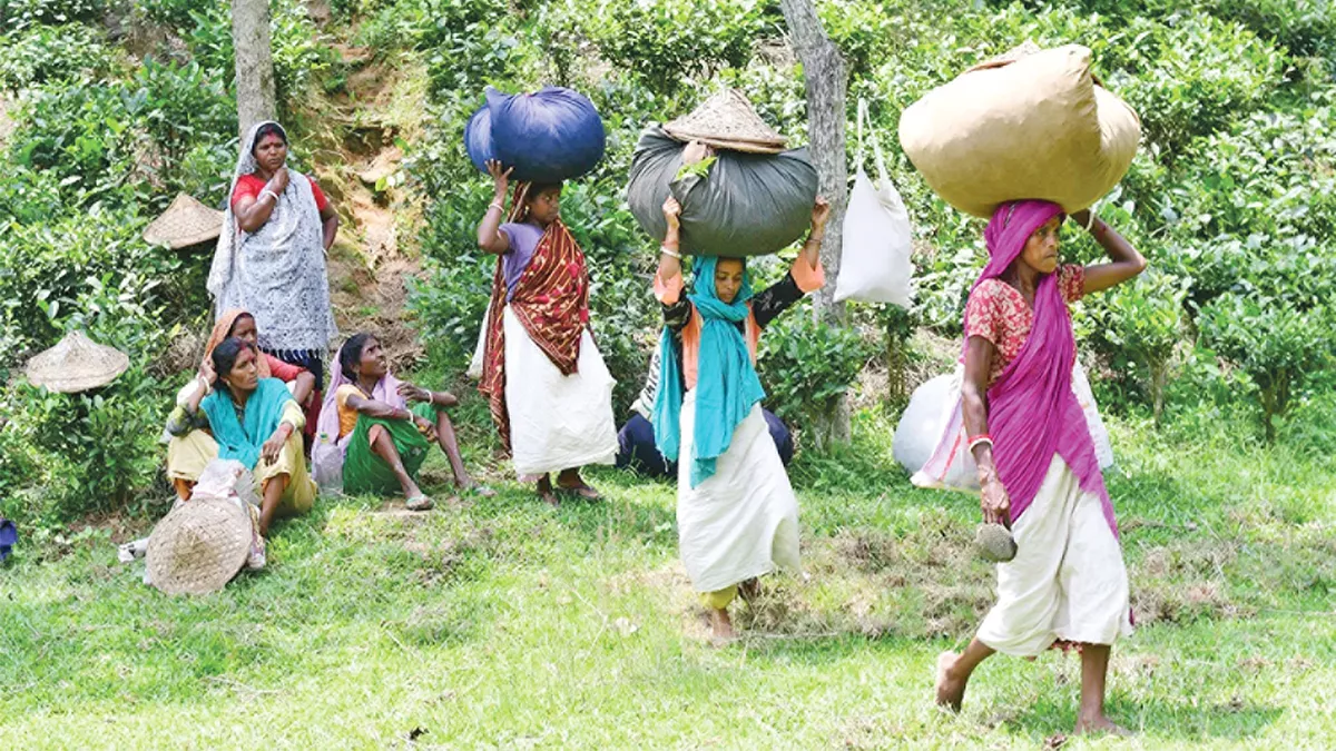জীবন যেখানে শ্রমদাসত্বের শেকলে বন্দি 