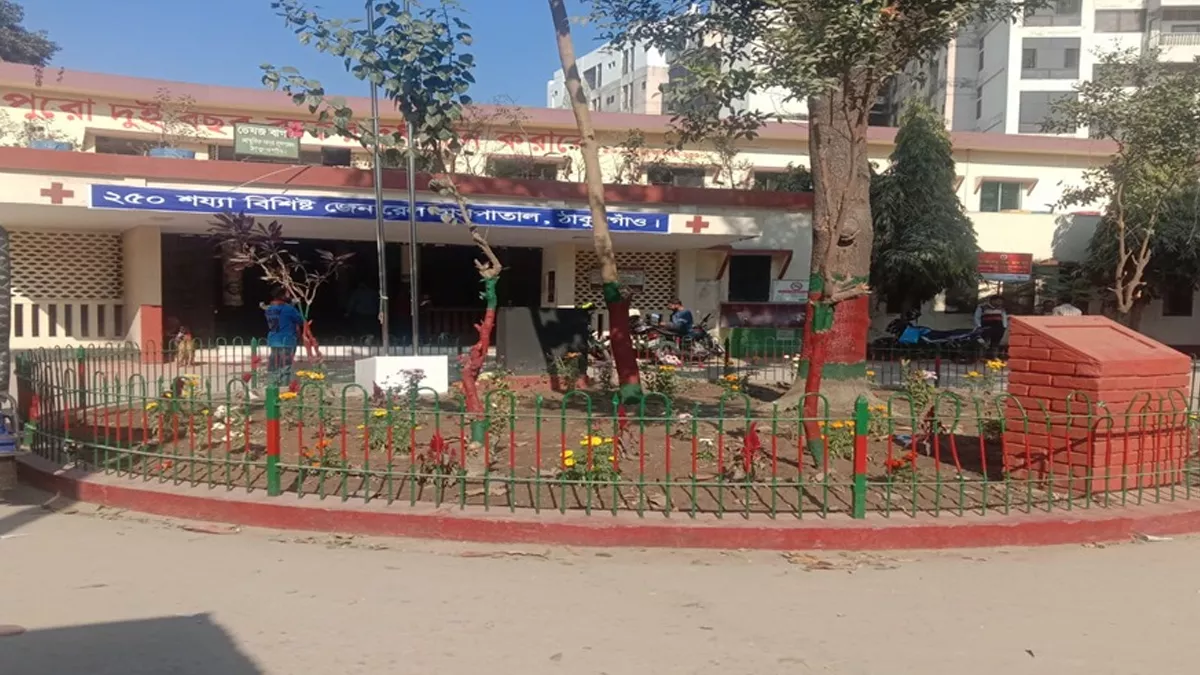 ঠাকুরগাঁওয়ে সড়ক দুর্ঘটনায় দুই বন্ধু নিহত