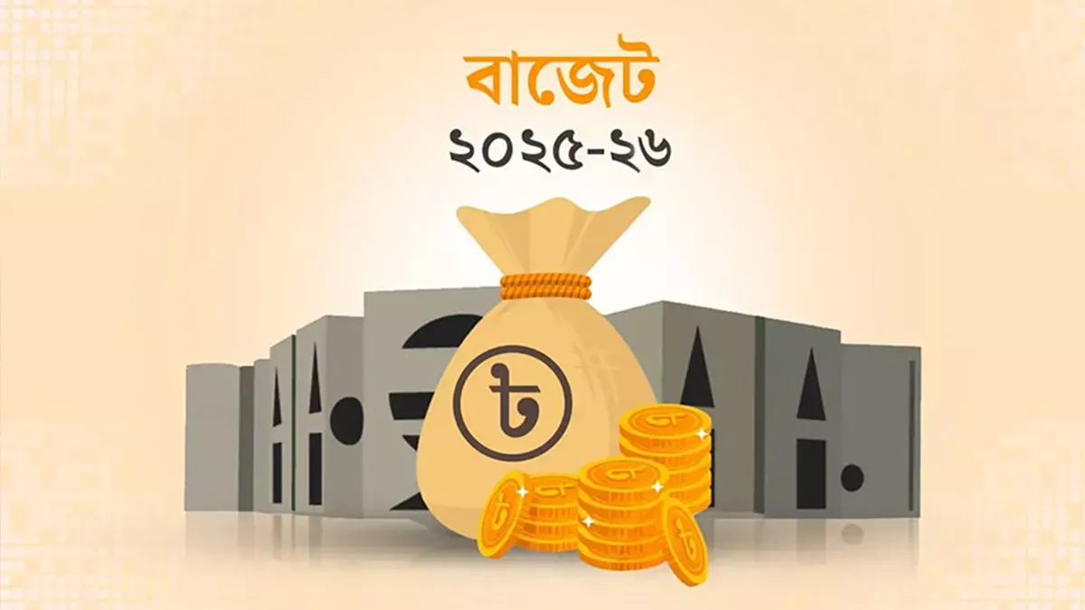 নতুন বছরের বাজেটভাবনা