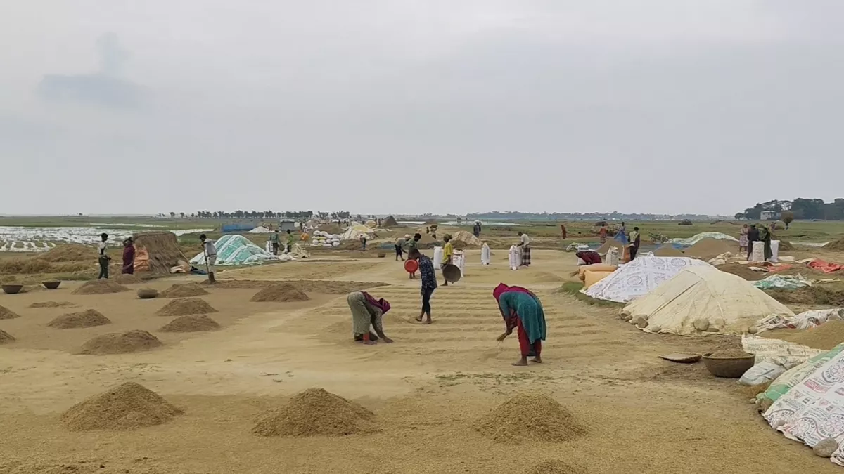 টানা বৃষ্টি ও জলাবদ্ধতায় সুনামগঞ্জে ৫০ হাজার পরিবার ক্ষতিগ্রস্ত