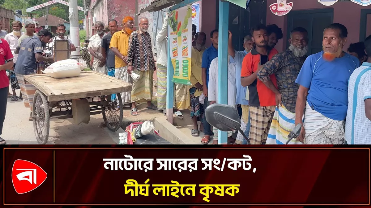  নাটোরে সার সংকটে বিপাকে কৃষক 