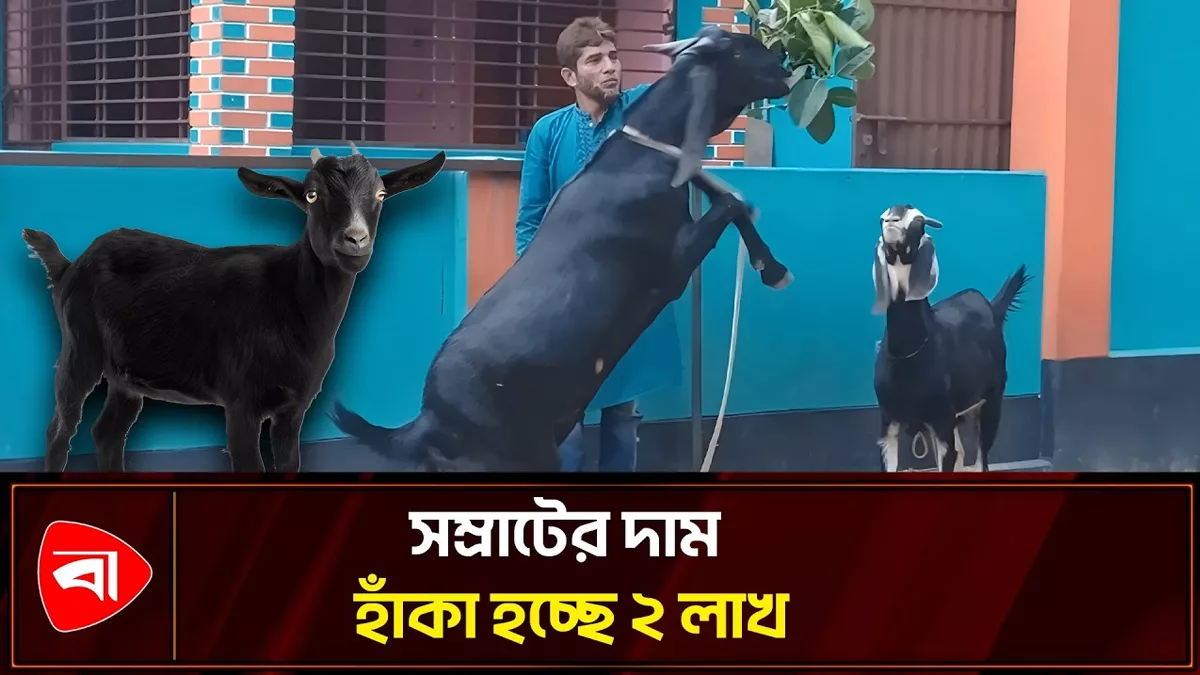 মোটা অঙ্কে ‘সম্রাট’কে বেচতে চান আবু সাঈদ