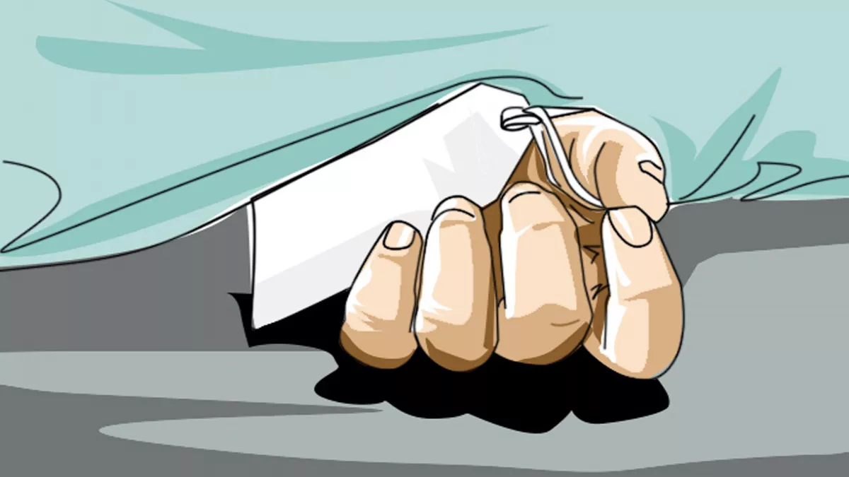 চুয়াডাঙ্গায় ইজিবাইকের ধাক্কায় শিশুর মৃত্যু