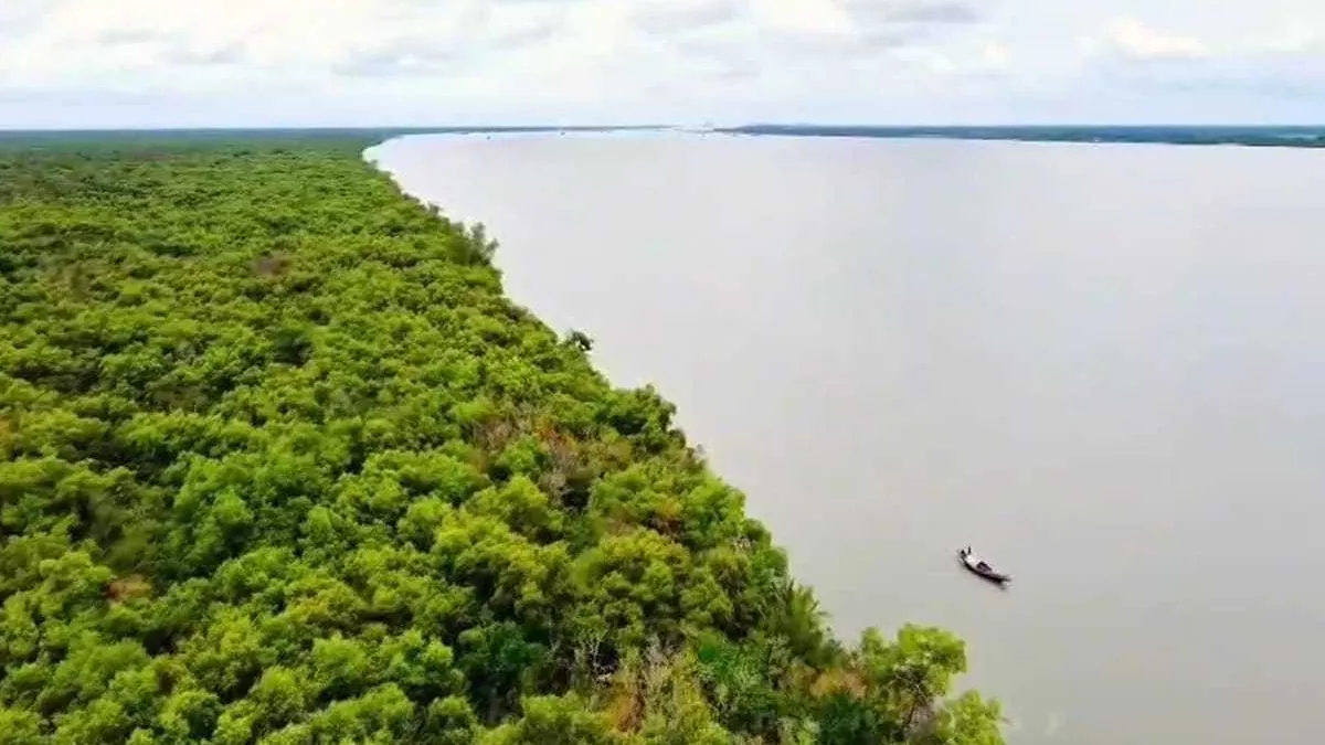 সুন্দরবনে ট্রলারসহ ১২ জেলেকে অপহরণ 