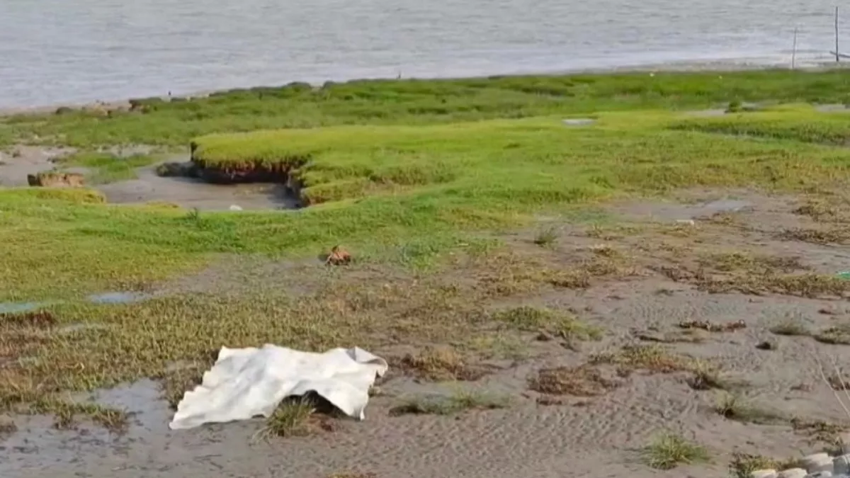 কলাপাড়ায় নদী থেকে নারীর মরদেহ উদ্ধার
