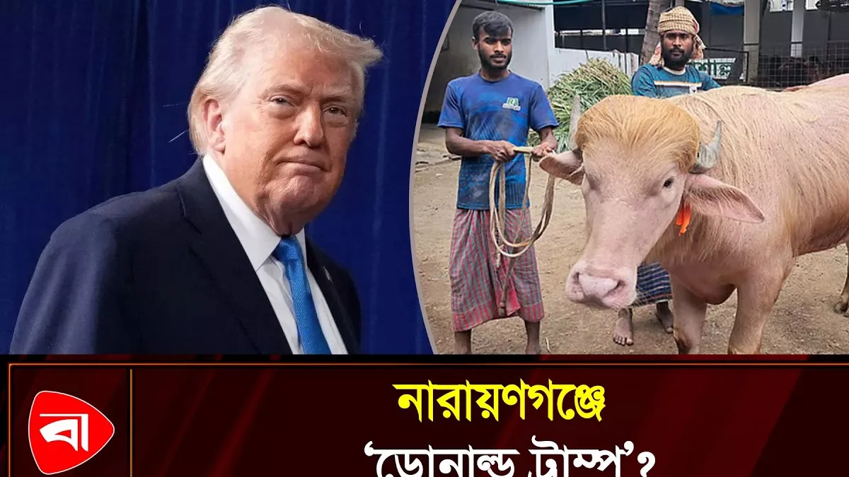গোলাপি ‘ডোনাল্ড ট্রাম্প’ দেখতে মানুষের ঢল