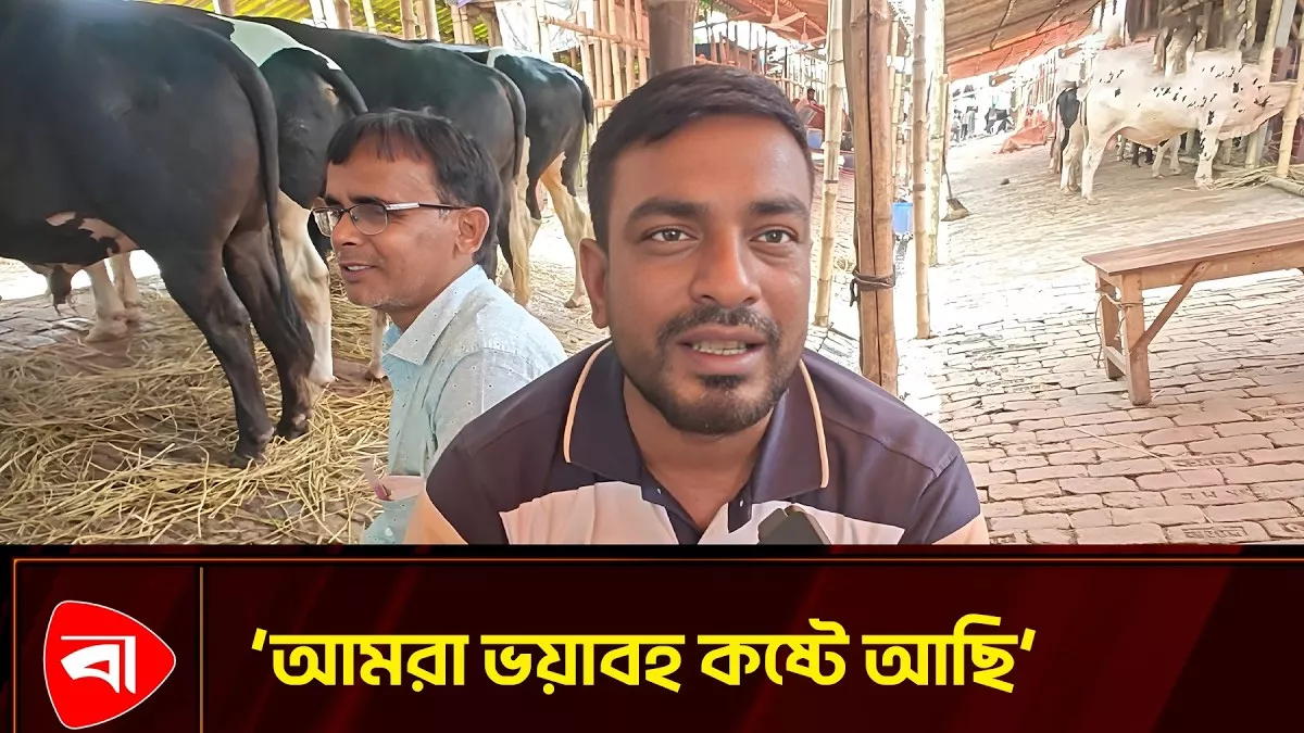পশুর হাটের প্রস্তুতি নিয়ে যা জানালেন এক বিক্রেতা